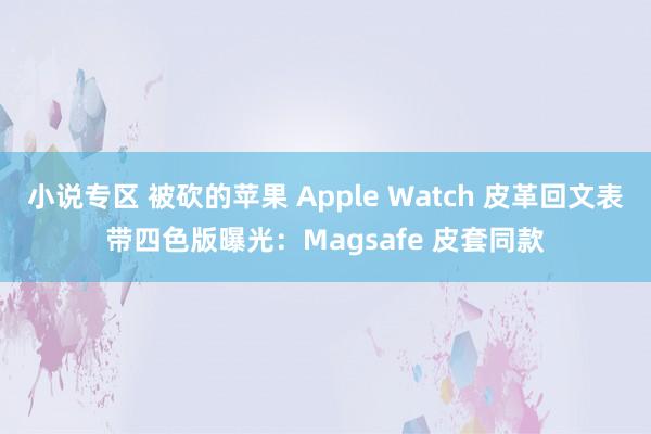 小说专区 被砍的苹果 Apple Watch 皮革回文表带四色版曝光：Magsafe 皮套同款