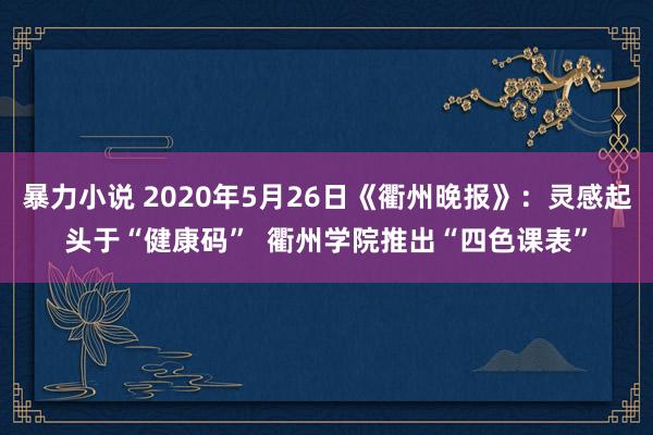 暴力小说 2020年5月26日《衢州晚报》：灵感起头于“健康码”  衢州学院推出“四色课表”