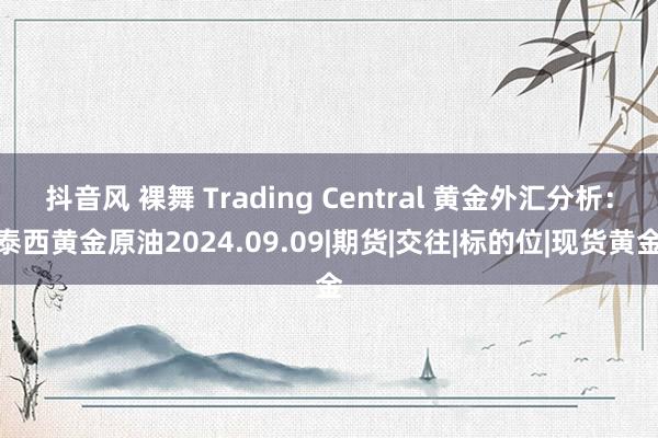 抖音风 裸舞 Trading Central 黄金外汇分析：泰西黄金原油2024.09.09|期货|交往|标的位|现货黄金