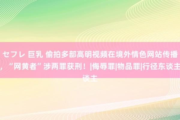 セフレ 巨乳 偷拍多部高明视频在境外情色网站传播，“网黄者”涉两罪获刑！|侮辱罪|物品罪|行径东谈主