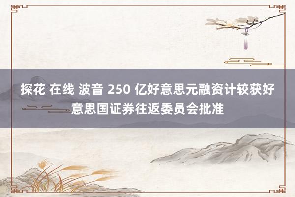 探花 在线 波音 250 亿好意思元融资计较获好意思国证券往返委员会批准