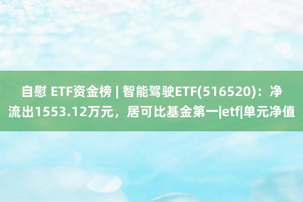 自慰 ETF资金榜 | 智能驾驶ETF(516520)：净流出1553.12万元，居可比基金第一|etf|单元净值