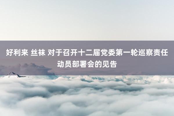 好利来 丝袜 对于召开十二届党委第一轮巡察责任动员部署会的见告