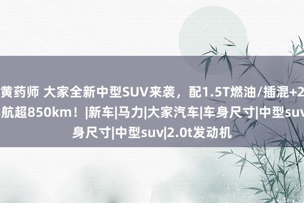 黄药师 大家全新中型SUV来袭，配1.5T燃油/插混+2.0T燃油，续航超850km！|新车|马力|大家汽车|车身尺寸|中型suv|2.0t发动机