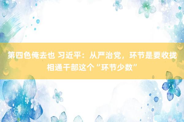 第四色俺去也 习近平：从严治党，环节是要收拢相通干部这个“环节少数”