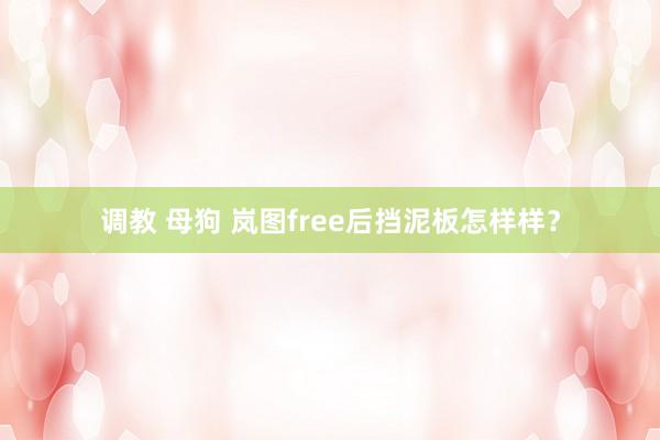 调教 母狗 岚图free后挡泥板怎样样？