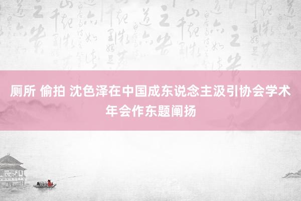 厕所 偷拍 沈色泽在中国成东说念主汲引协会学术年会作东题阐扬