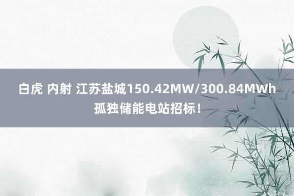 白虎 内射 江苏盐城150.42MW/300.84MWh孤独储能电站招标！